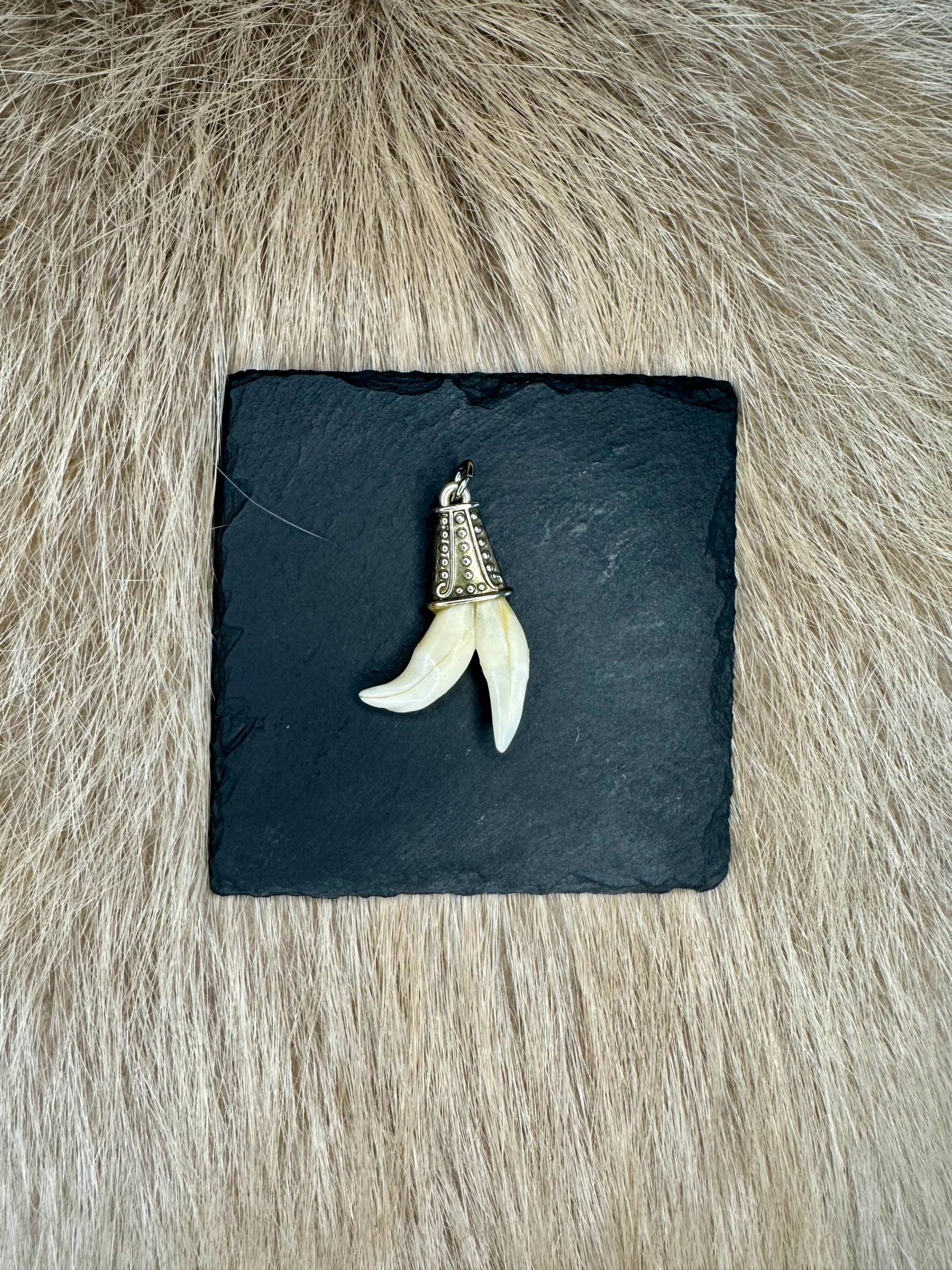 Anhänger Dachszähne Nr. 3 Anhänger Dachszähne Nr. 3 von HuntiDanti