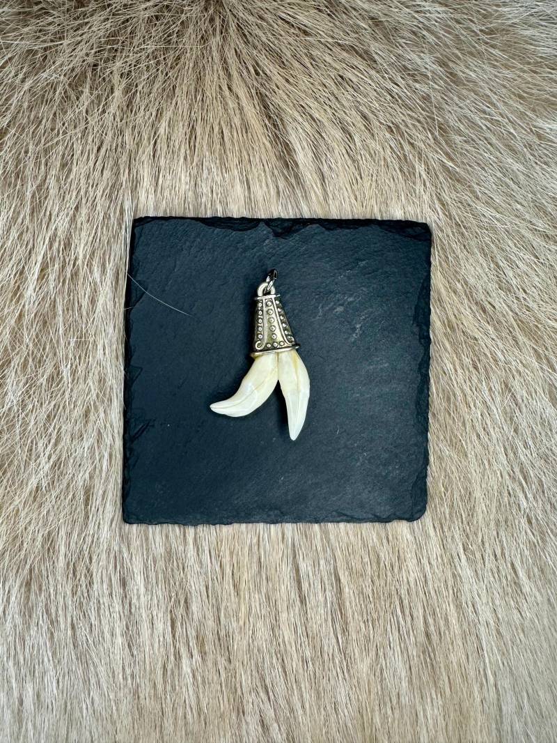 Anhänger Dachszähne Nr. 3 Anhänger Dachszähne Nr. 3 von HuntiDanti