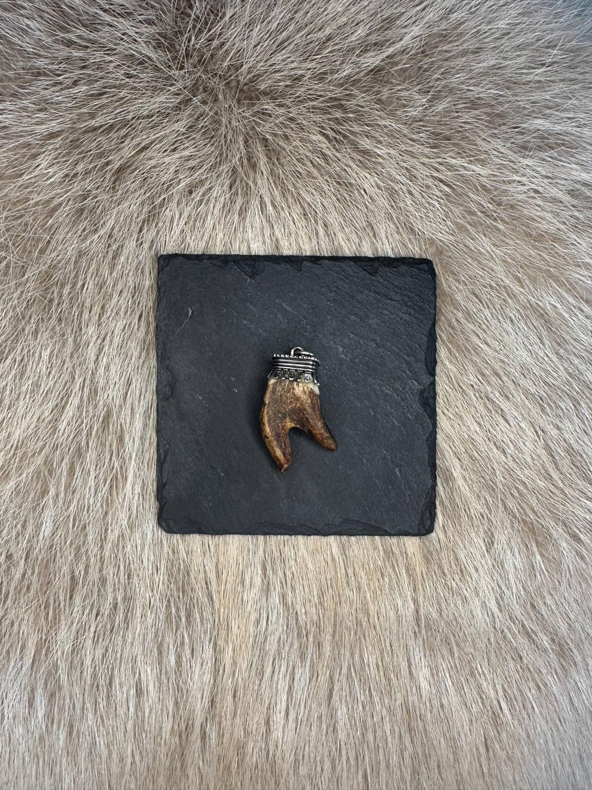 Anhänger Rehgeweih Nr. 2 Anhänger Rehgeweih Nr. 2 von HuntiDanti