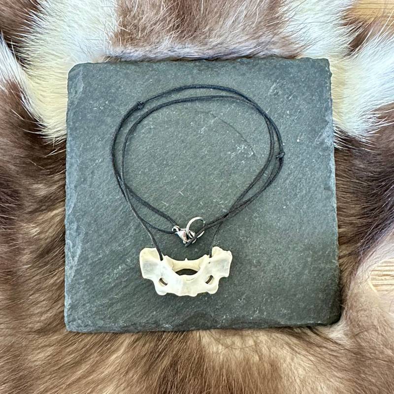 Halskette Atlas Marder Halskette Atlas Marder von HuntiDanti