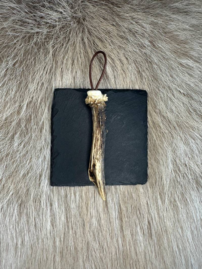 Schlüsselanhänger Rehgeweih Nr. 8 Schlüsselanhänger Rehgeweih Nr. 8 von HuntiDanti