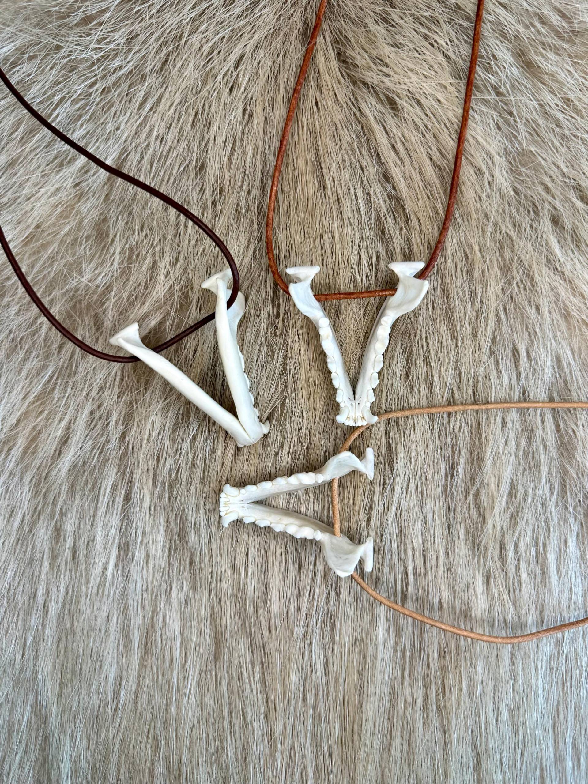 steinmarder Unterkiefer Halsband steinmarder Unterkiefer Halsband von HuntiDanti