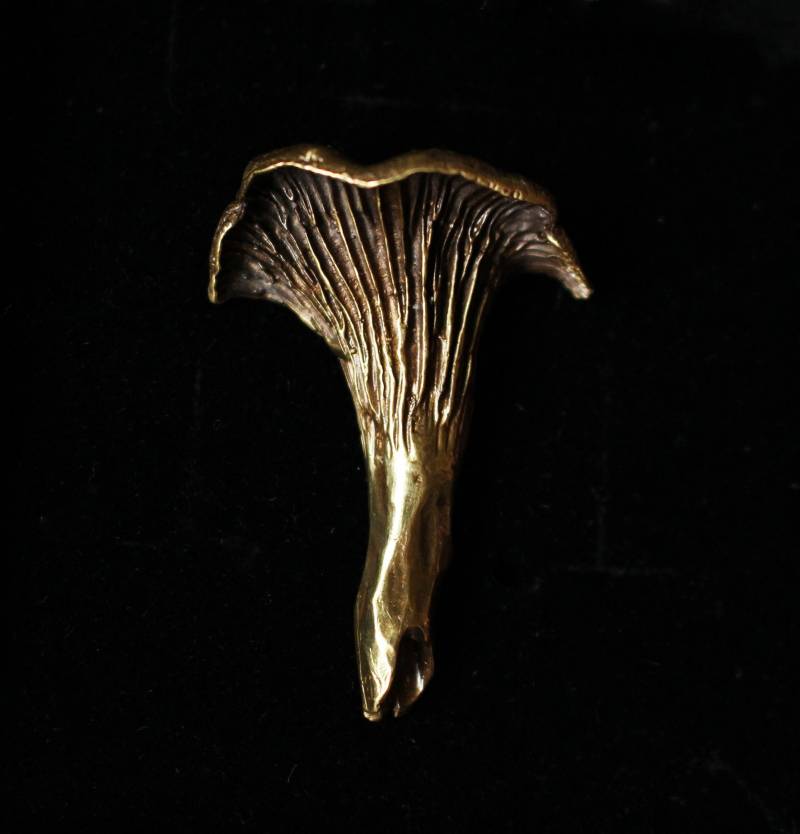 Сhanterelle Pilz Brosche Сhanterelle Pilz Brosche von Hvitolg