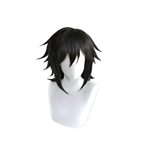 Anime Cosplay Perücke Demon Slayer Tomioka Giyuu für Halloween, Party, Karneval, Nachtleben, Konzerte, Hochzeiten von Hworks