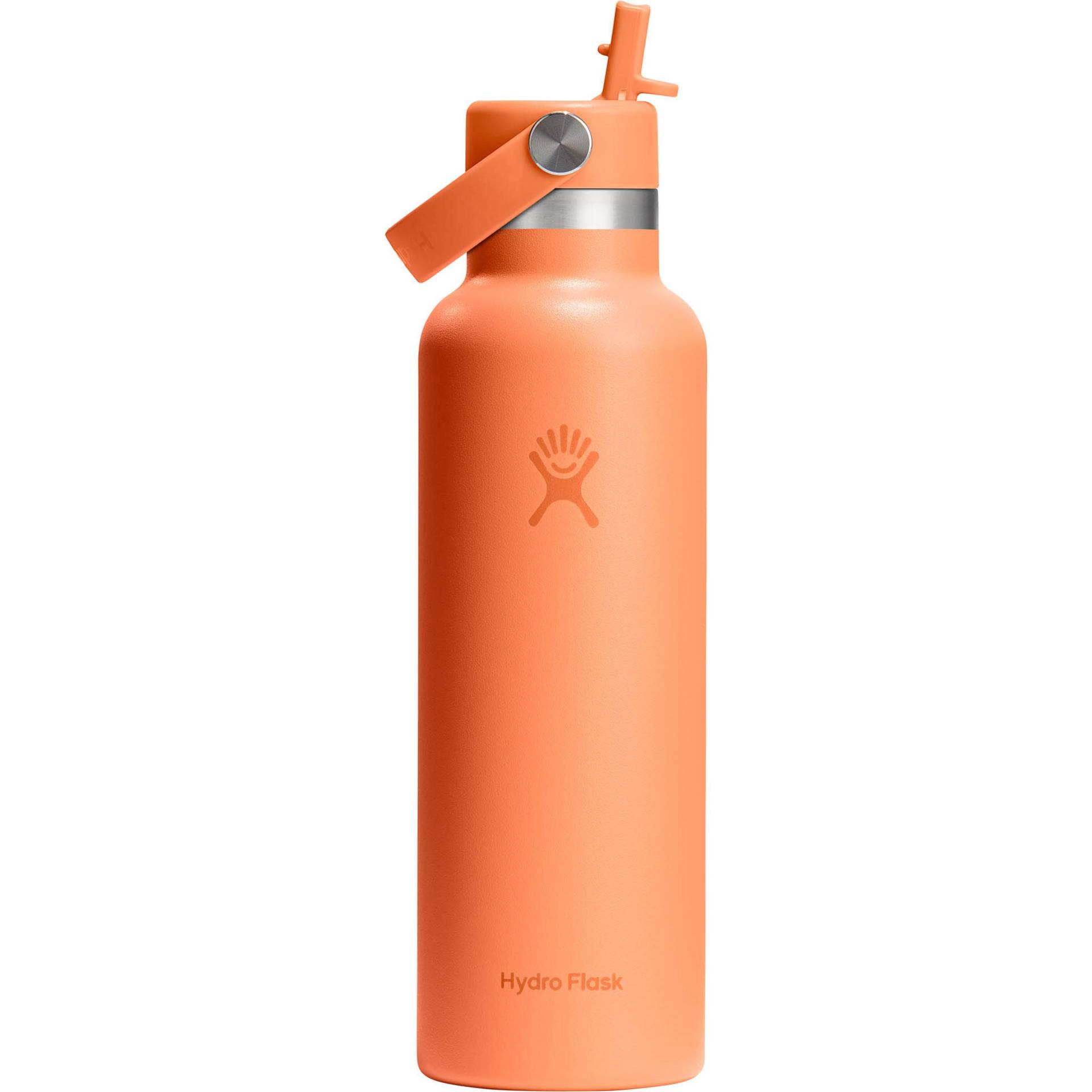 Hydro Flask 21 OZ STANDARD FLEX STRAW Isolierflasche Hydro Flask 21 OZ STANDARD FLEX STRAW Isolierflasche von Hydro Flask
