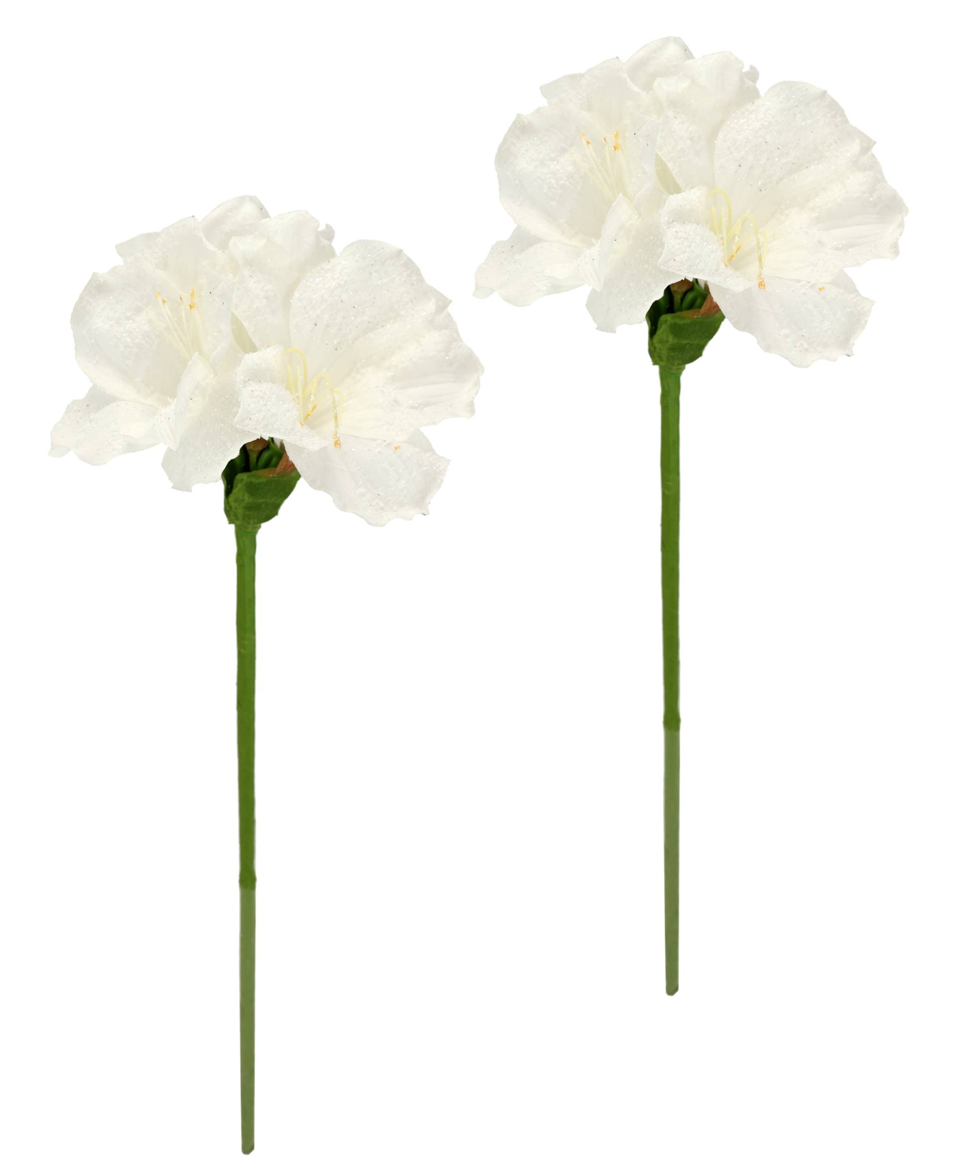 I.GE.A. Kunstblume "Amaryllis 2er Set", 60cm Blumen Zweig Dekozweig Weihnachtsdeko Weihnachtsblume Deko I.GE.A. Kunstblume "Amaryllis 2er Set", 60cm Blumen Zweig Dekozweig Weihnachtsdeko Weihnachtsblume Deko von I.Ge.A.
