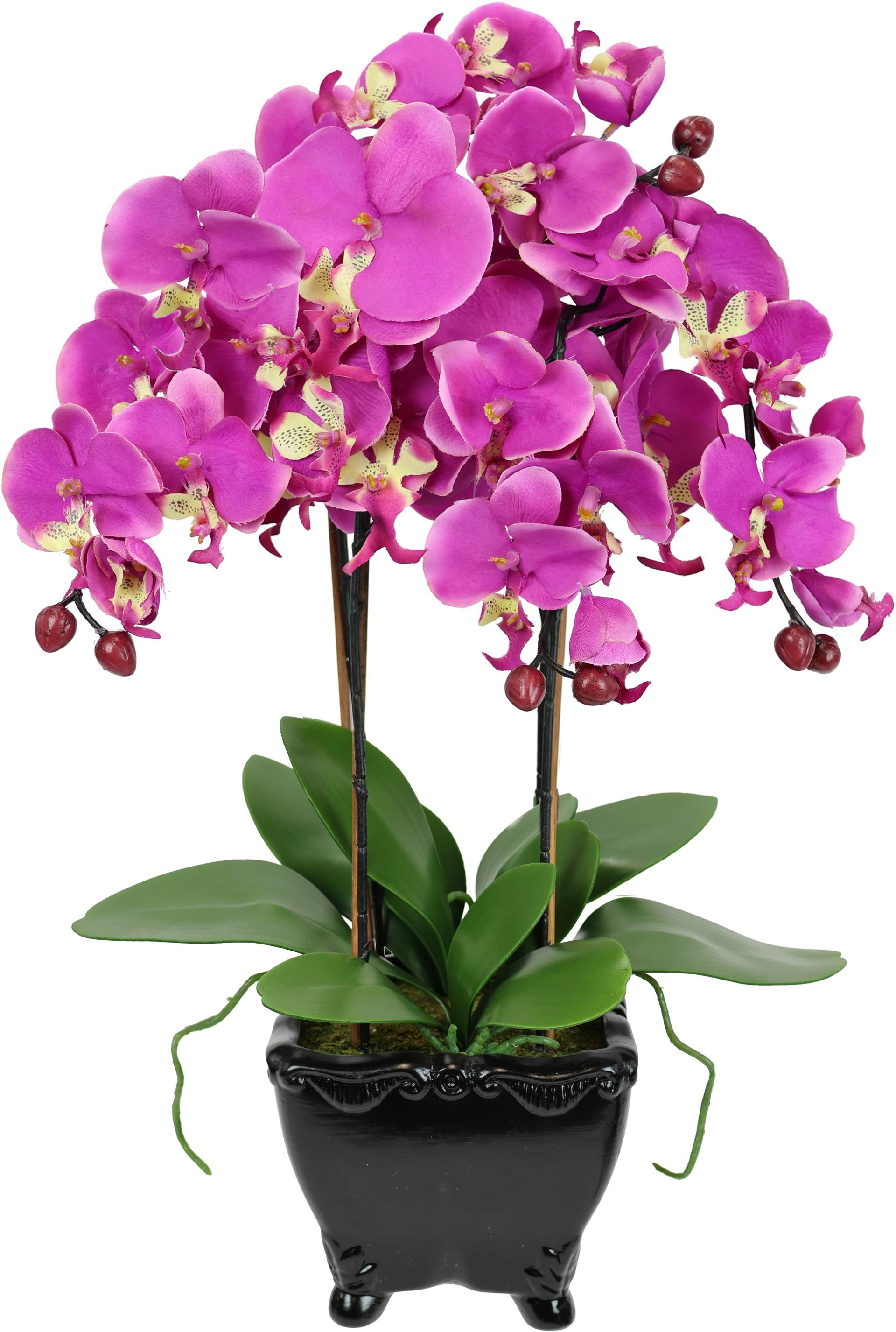 I.GE.A. Kunstblume "Künstliche Orchidee in Schale Phalaenopsis Kunstblume Blume", Kunstorchidee Deko Dekoblume Seidenblume I.GE.A. Kunstblume "Künstliche Orchidee in Schale Phalaenopsis Kunstblume Blume", Kunstorchidee Deko Dekoblume Seidenblume von I.Ge.A.