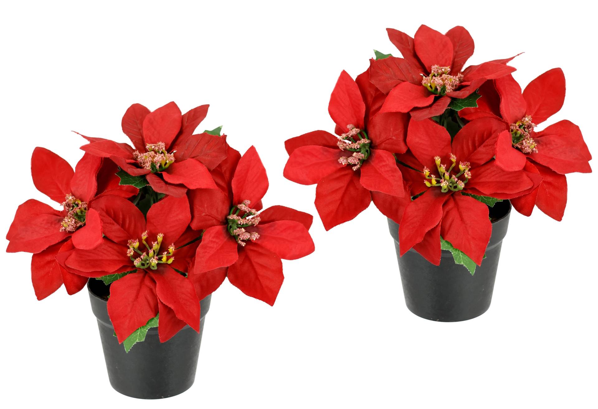 I.GE.A. Kunstblume "Poinsettia im Topf" 2er Set Künstliche Blume Weihnachtsstern Christstern Weihnachtsdeko von I.Ge.A.