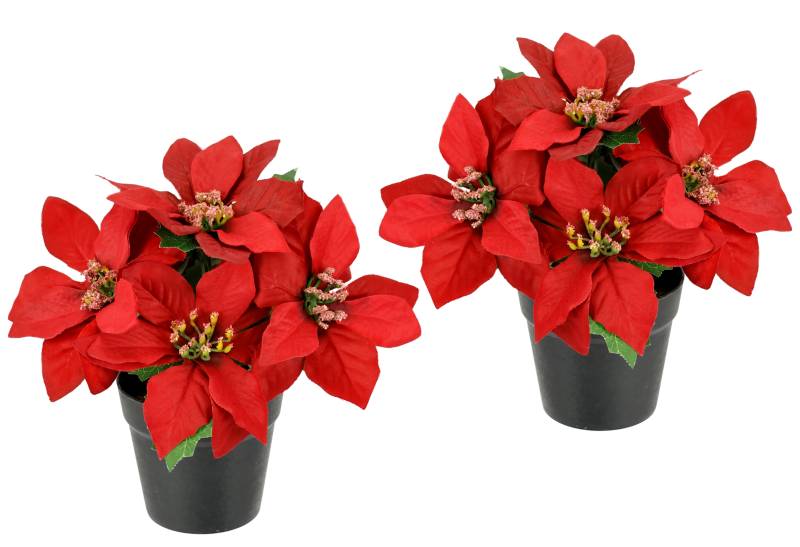 I.GE.A. Kunstblume "Poinsettia im Topf" 2er Set Künstliche Blume Weihnachtsstern Christstern Weihnachtsdeko von I.Ge.A.