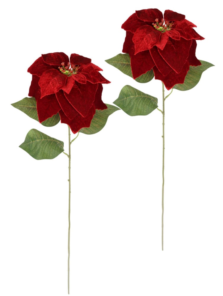 I.GE.A. Kunstblume "Samt-Poinsettia" 2er Set Künstliche Blume Weihnachtsstern Weihnachtsdeko Adventsstern von I.Ge.A.
