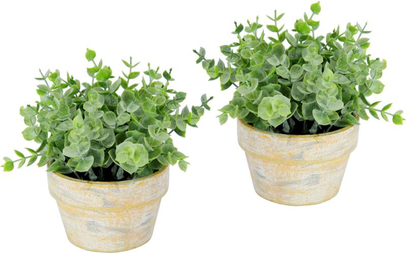 I.GE.A. Kunstpflanze "Künstlicher Eukalyptus im Topf 2er Set Pflanze", Deko Blume für Hochzeit Plastikpflanze Kräuter Deko-Kräuter von I.Ge.A.