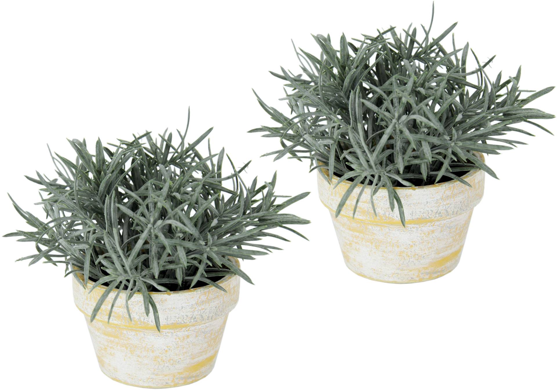 I.GE.A. Kunstpflanze "Künstlicher Podocarpus im Topf 2er Set", Deko Blume für Hochzeit Plastikpflanze Kräuter Deko-Kräuter I.GE.A. Kunstpflanze "Künstlicher Podocarpus im Topf 2er Set", Deko Blume für Hochzeit Plastikpflanze Kräuter Deko-Kräuter von I.Ge.A.