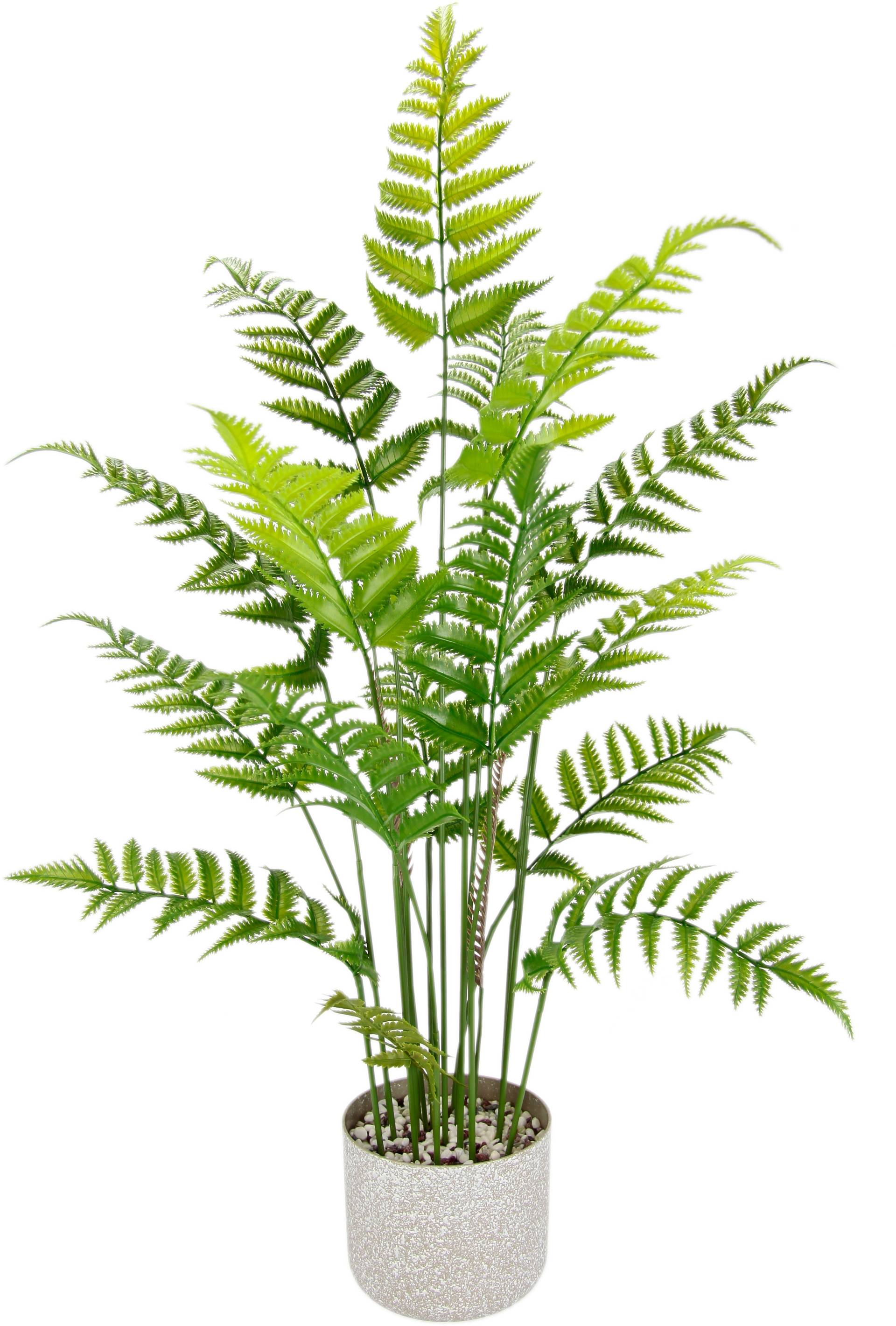I.GE.A. Kunstpflanze "Künstlicher Waldfarn im Topf Farn Kunstfarn Farnbusch Waldpflanze" Zimmerpflanze Pflanze Grünpflanze Dekofarn Strauch Dekopflanze von I.Ge.A.