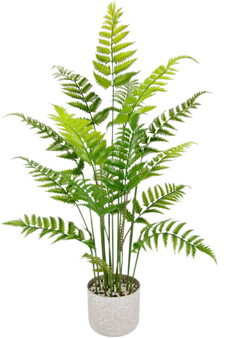 I.GE.A. Kunstpflanze "Künstlicher Waldfarn im Topf Farn Kunstfarn Farnbusch Waldpflanze" Zimmerpflanze Pflanze Grünpflanze Dekofarn Strauch Dekopflanze von I.Ge.A.
