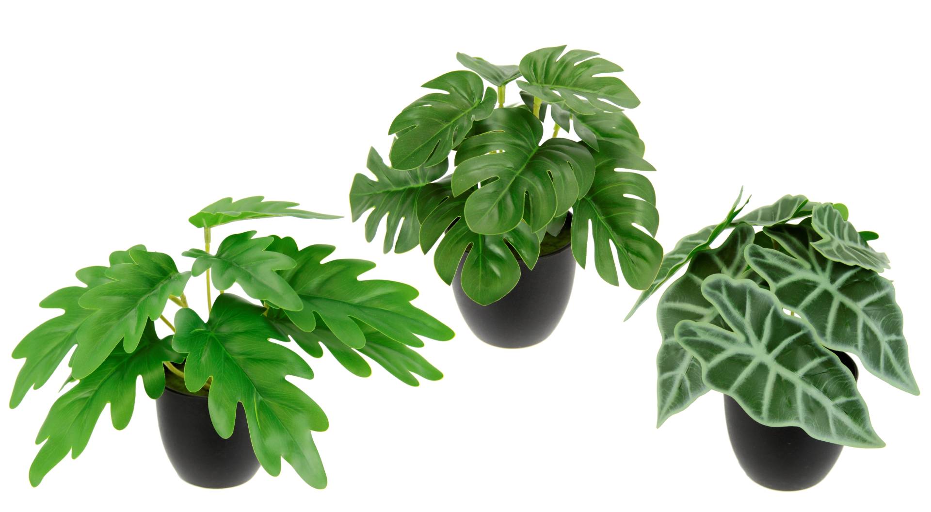 I.GE.A. Kunstpflanze "Künstliches Zimmerpflanzen-Set", Im Topf 3er Set Grünpflanzen Zimmerpflanze Monstera Philo Calathea I.GE.A. Kunstpflanze "Künstliches Zimmerpflanzen-Set", Im Topf 3er Set Grünpflanzen Zimmerpflanze Monstera Philo Calathea von I.Ge.A.