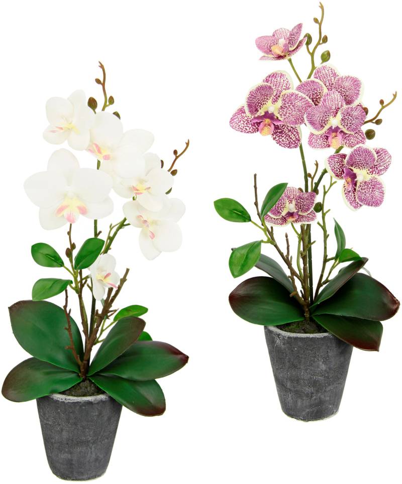 I.GE.A. Kunstpflanze "Orchidee", Mit Blättern und Luftwurzeln, im Topf aus Keramik, 2er Set von I.Ge.A.