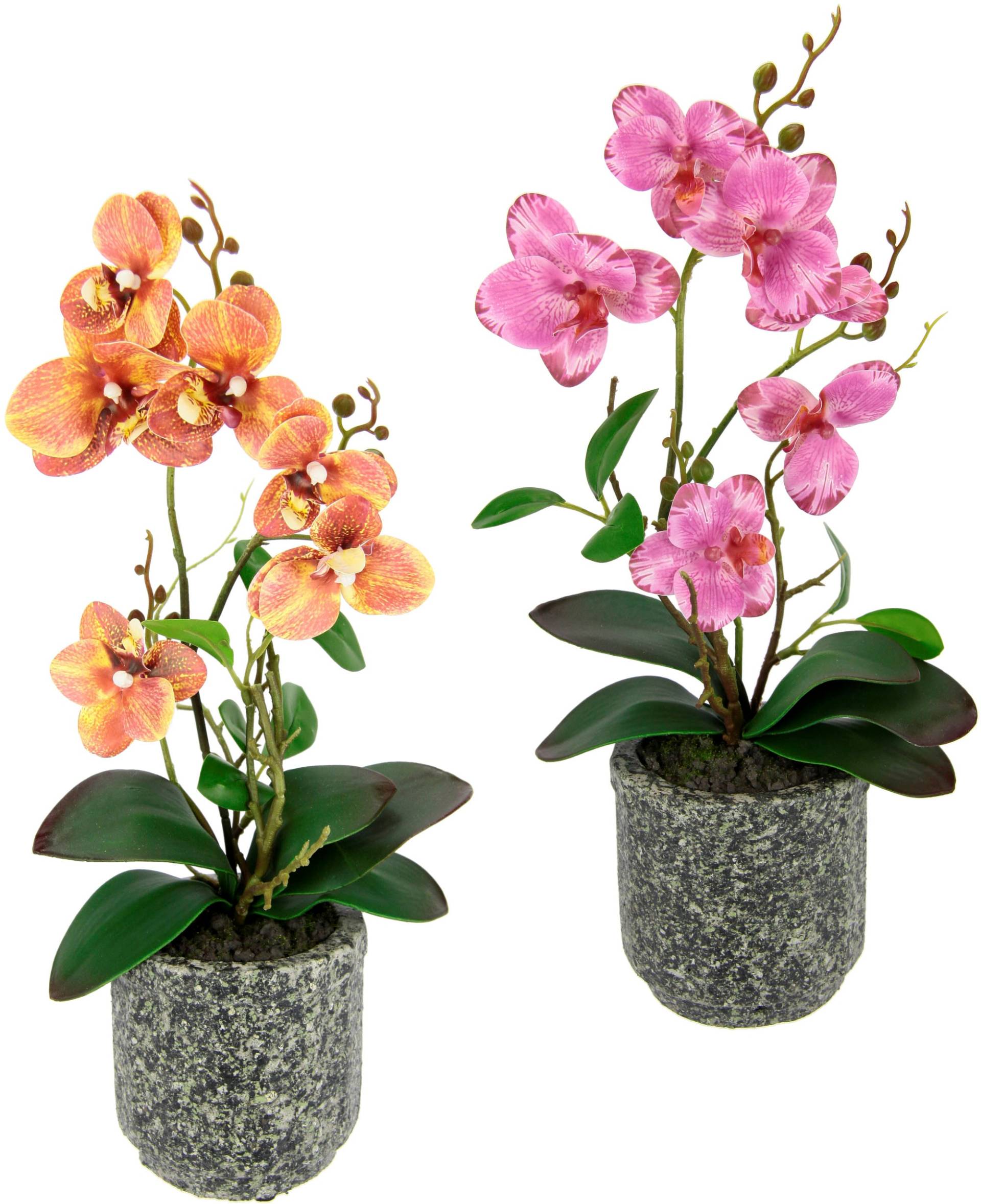 I.GE.A. Kunstpflanze "Orchidee", Mit Blättern und Luftwurzeln, im Topf aus Keramik, 2er Set von I.Ge.A.