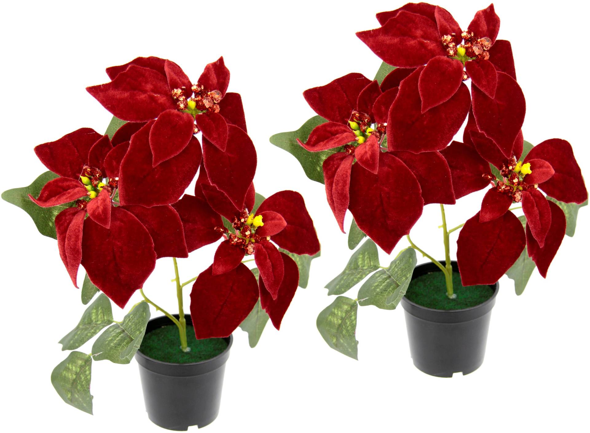 I.GE.A. Kunstpflanze "Samt-Poinsettie", im Topf, 2er Set I.GE.A. Kunstpflanze "Samt-Poinsettie", im Topf, 2er Set von I.Ge.A.