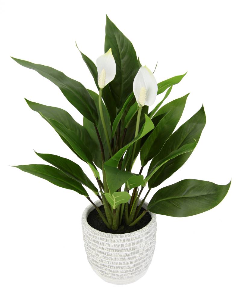 I.GE.A. Kunstpflanze "Spathiphyllum" im Topf Anthurie Calla Flamingoblume exotische Pflanze weiße Blüten von I.Ge.A.