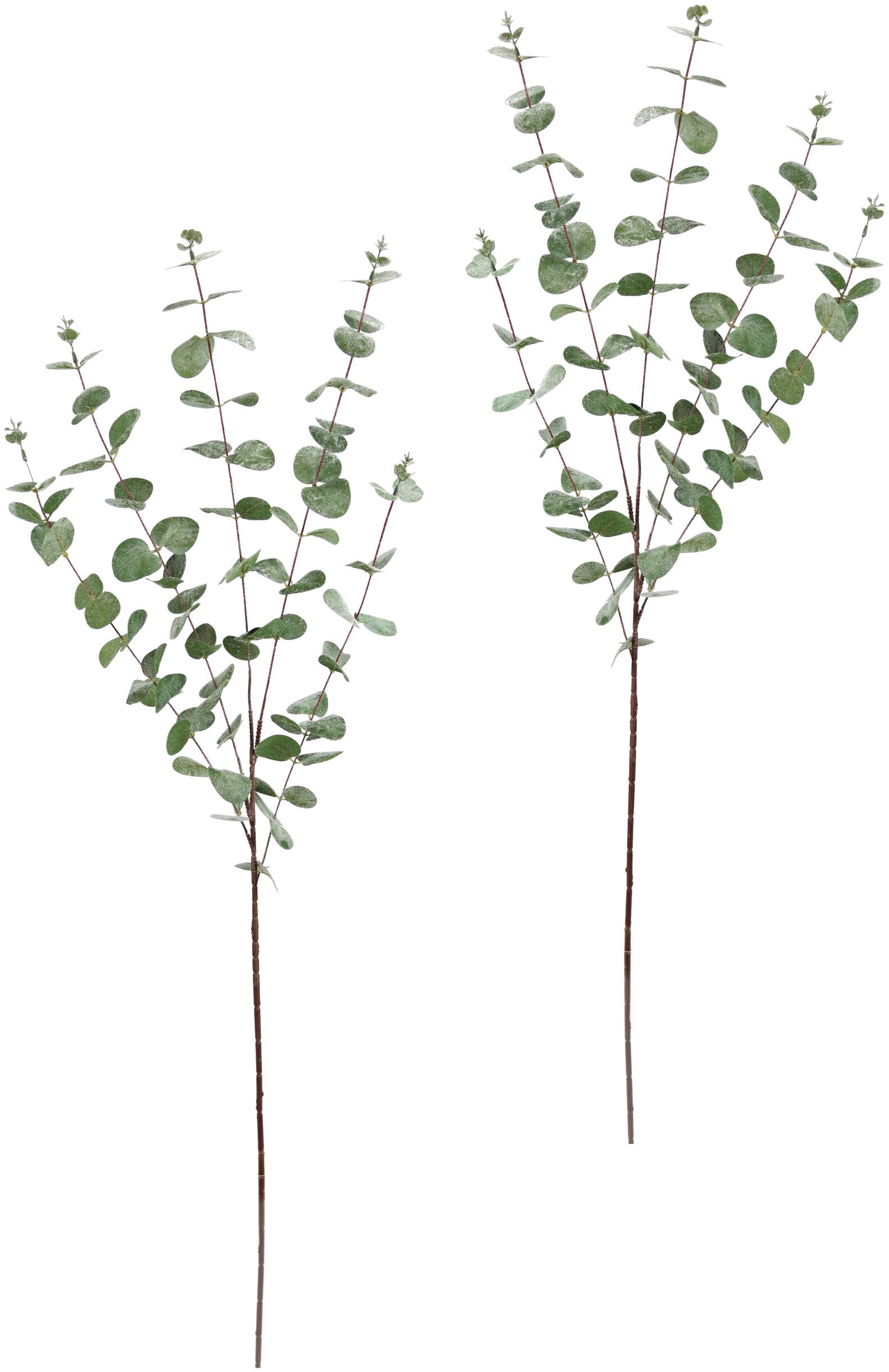 I.GE.A. Winterliche Kunstpflanze "Kunstzweig, Eukalyptuszweig, Weihnachtsdeko,", Kunstblume im 2er Set, Dekozweig I.GE.A. Winterliche Kunstpflanze "Kunstzweig, Eukalyptuszweig, Weihnachtsdeko,", Kunstblume im 2er Set, Dekozweig von I.Ge.A.