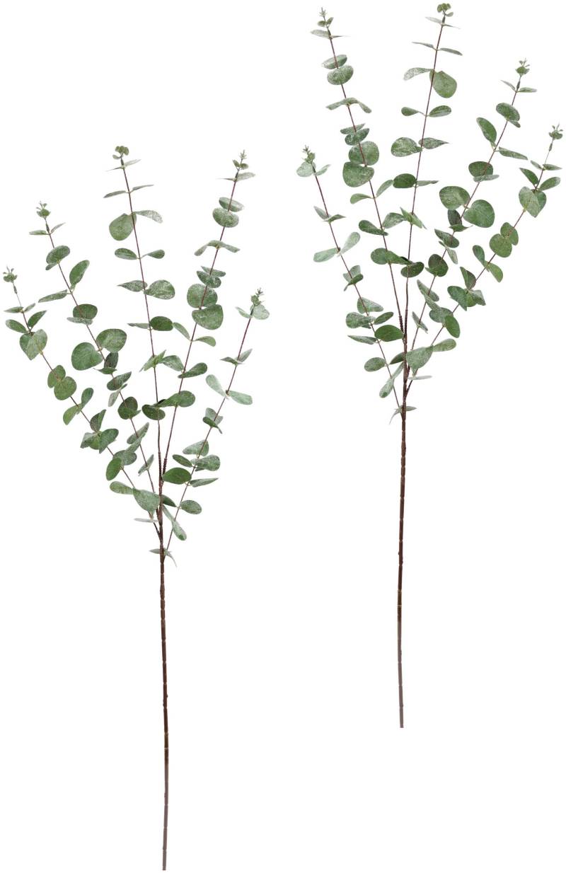 I.GE.A. Winterliche Kunstpflanze "Kunstzweig, Eukalyptuszweig, Weihnachtsdeko,", Kunstblume im 2er Set, Dekozweig von I.Ge.A.