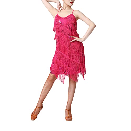 IBTOM CASTLE 1920 Pailletten Abendkleider Damen Tanzkleid Fransen Tanzkleid Kleid Quaste Tanzkleid Glitzer Party Kleid V-Ausschnitt Flapper Kostüm Cocktail Rosarot 3XL von IBTOM CASTLE