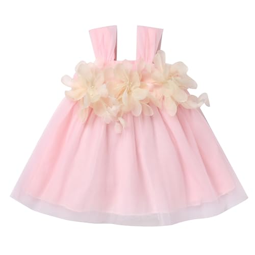 IDOPIP Kleider für Baby Mädchen Taufkleid 3D Blume Ärmellos Tüllkleid Neugeborenen Kleidung Fotoshooting Prinzessin Tutukleid Hochzeit Sommerkleid Geburtstag Kleid Baby Girl Clothes rosa 9-12 Monate von IDOPIP