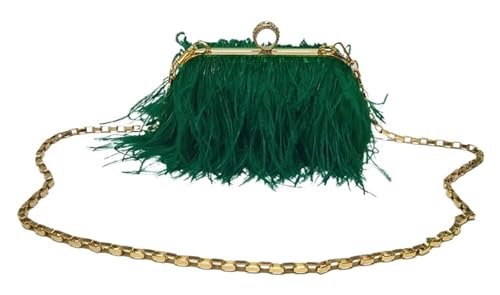 IKFGTJRE Feder Handtasche Handtasche Geldbörse Straußenfeder Diamant Ring Kette Pelzigen Damen Clutch Tasche Abend Pelz Taschen(Color-02) von IKFGTJRE