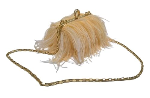 IKFGTJRE Feder Handtasche Handtasche Geldbörse Straußenfeder Diamant Ring Kette Pelzigen Damen Clutch Tasche Abend Pelz Taschen(Color-05) von IKFGTJRE