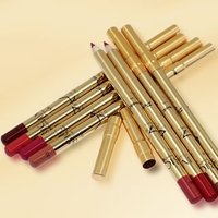 IMAGIC - 8 Colours Golden Silky Lip Liner Pencil Kit 1 Box (8 Colours) von IMAGIC