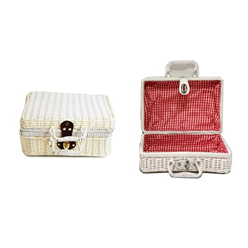 IMEITE Make-up-Tasche, tragbare Rattan-Handtasche, umweltfreundliches Material, Rattan-Imitat, Retro-Koffer, Kosmetik-Aufbewahrungsbox, Parfüm-Organizer, E, 22 x 16 x 10 cm von IMEITE