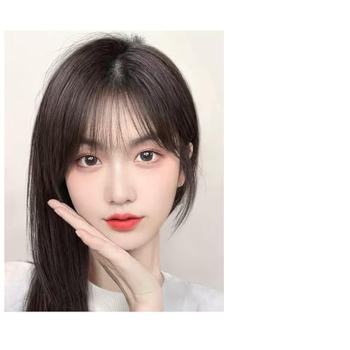 Perücke Mit Pony Pony Perücke Stück Volle Echte Menschliches Haar Patch Flauschig Erhöhen Haar Volumen Flauschige Abdeckung Grau Haar Pelucas De Mujer Pelo Humano(17-(7-9)25CM-black) von IMEITE