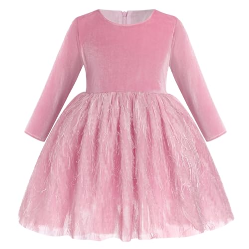 IMEKIS Kinder Baby Mädchen Samt Kleid Langarm Herbst Winter Party Kleid Prinzessin Bowknot Feder Tüll Tutu Kleid Elegantes Geburtstag Urlaub Festkleid Rosa 3-4 Jahre von IMEKIS