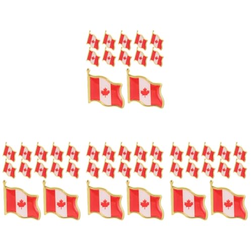 IMIKEYA 4 Sätze Flagge Brosche Metall Anstecker Wiederverwendbare Abzeichen Für Kleidung Einfache Anwendung Und Dekorativer 25 Stück * 4 von IMIKEYA