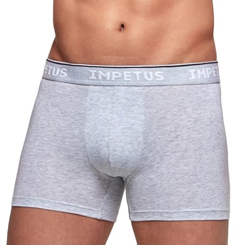 Impetus France Herren Boxershort Organic, Grau (Gris), Large von IMPETUS