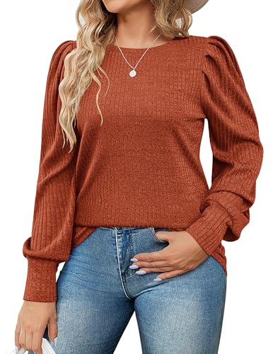 IN'VOLAND Übergröße Damen Puffstrick Bluse Langarm Shirt Rundhals Elegant Tunika Tops, Caramel, 52 Mehr von IN'VOLAND