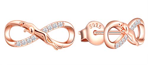 INFINIONLY Damen Mädchen Ohrring, Unendlichkeitssymbolohrringe, 925 Sterling silber Schmuck-Sets, Gepard und Unendlichkeitssymbol Ohrringe, Roségold, Intarsien Zirkon, Tierschmuck-Set von INFINIONLY