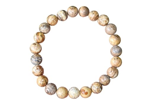 INFINITY GEMS Armband aus natürlichen AAA-Bildjaspis-Perlen, 10 mm, Edelstein-Stretcharmband | 7–7,5 Zoll Länge | Unisex-Armband | Armband aus runden Perlen | Männer/Frauen von INFINITY GEMS