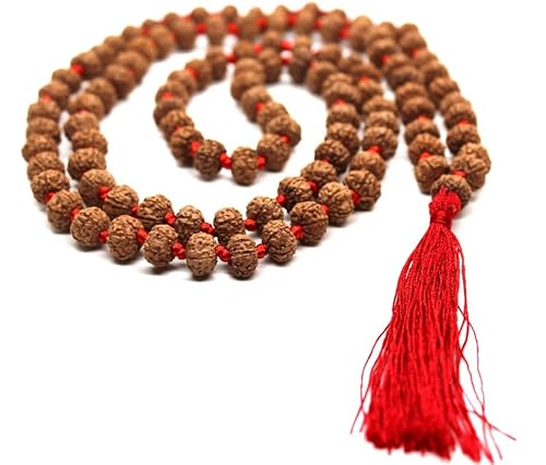 INFINITY GEMS Natürliche AAA 6 Mukhi Rudraksha Mala, 108+1 sechs Facetten Rudraksha Perlen, lange Quaste Mala, schöne Mala, natürliche Perlen Japa Mala Yoga Gebetsperlen von INFINITY GEMS