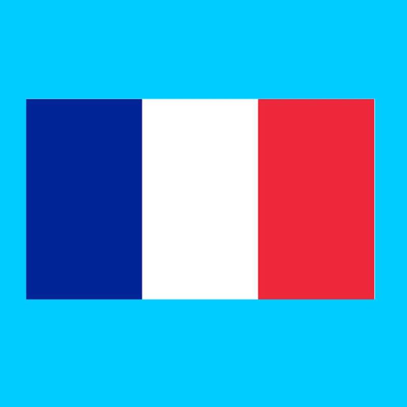 Satz Von 2 Frankreich Flagge Eisen Auf Sieb Druck Transfers Für Stoffe Maschine Waschbar Französisch Patch von INKINGHOUSE