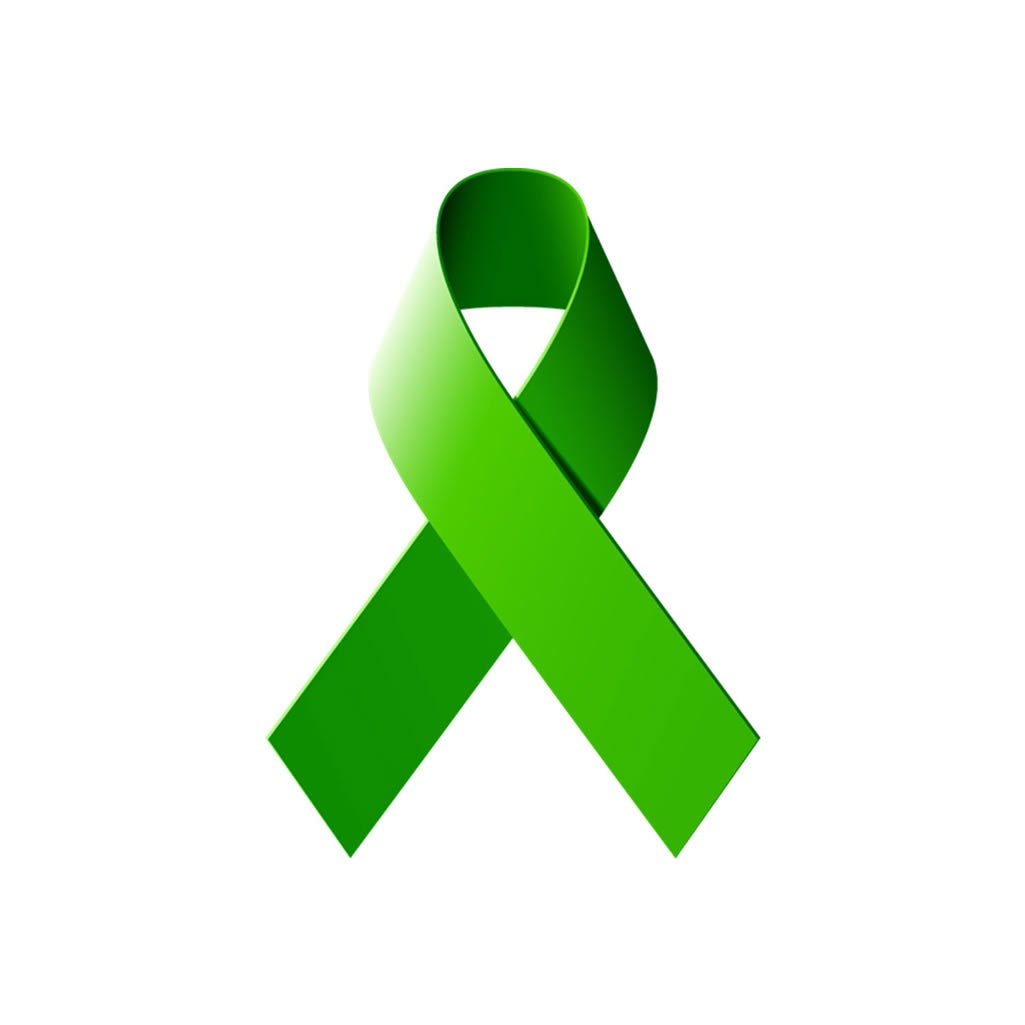 Satz Von 2 Grüne Band Diy Eisen Auf Sieb Druck Patch Für Stoff Mental Health Awareness Support Transfer Maschine Waschbar von INKINGHOUSE