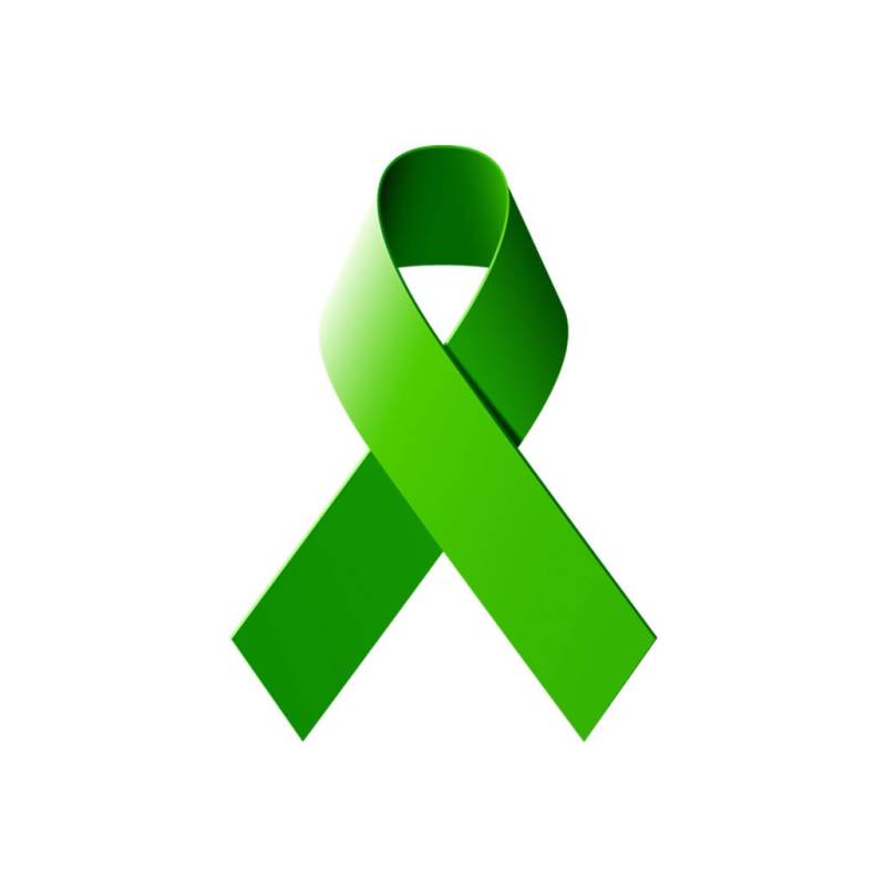 Satz Von 2 Grüne Band Diy Eisen Auf Sieb Druck Patch Für Stoff Mental Health Awareness Support Transfer Maschine Waschbar von INKINGHOUSE