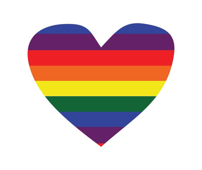 Satz Von 2 Lgbt Stolz Herz Eisen Auf Sieb Druck Transfers Für Stoffe Maschine Waschbare Gay Lesben Stolz Flagge Patch von INKINGHOUSE