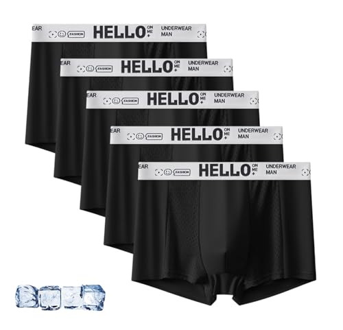 INLANDSIS 5 Packs Hello Mesh Mens Underwear, Fasqm Ice Fresh and Cool Mesh Trunks, Low Rise Breathable Fast-Dry Boxer Briefs for Men (Schwarz,XXL) von INLANDSIS