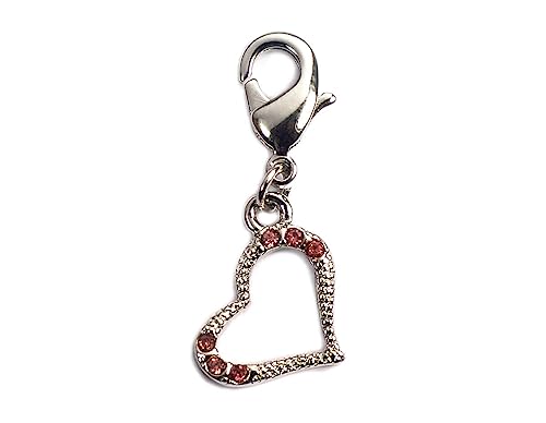 INNSPIRO Nice Charms Anhänger aus Metall mit 6 Gleichnissen mit Karabiner 10 x 15 mm. 25 Stück., 14x17mm., Metall, Kein Edelstein von INNSPIRO