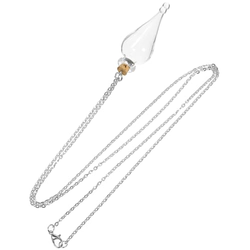 INOOMP Mini Glasflasche Halskette Glasflasche für Kleine Gegenstände Diy Dekoration Einzigartiges für Freunde und Familie Fotos und Kreative Projekte von INOOMP