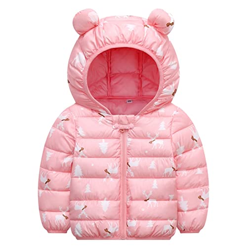 IQYU Kinder Winterjacke Jungen Wintermantel MäDchen Baumwolljacke Winddichte Outdoorjacke MäDchen Warm Steppjacke Daunenjacke Baby-Kapuzenjacke Softshelljacke Fleecejacke -Daunenjacke von IQYU