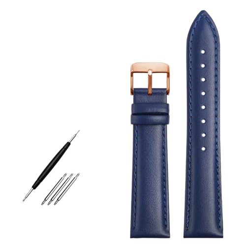 IRFKR 19 mm 20 mm 21 mm 22 mm Echtleder-Uhrenarmband, für L29094920-Uhren-Upgrade. Ersetzen Sie das Band der obersten Schicht aus Rindsleder(P blue pin rose,19mm) von IRFKR