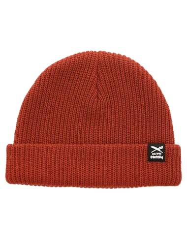 IRIEDAILY Transition Beanie [Brick] von IRIEDAILY