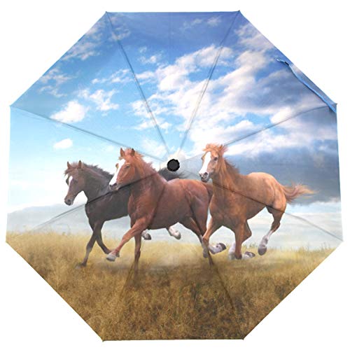 ISAOA Automatischer faltbarer Regenschirm, kleine Herde von Pferden, schnell unterwegs, kompakt, winddicht von ISAOA